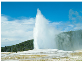 Yellowstone's old faithful